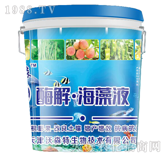 ø�⡤����Һ-��ɭ��