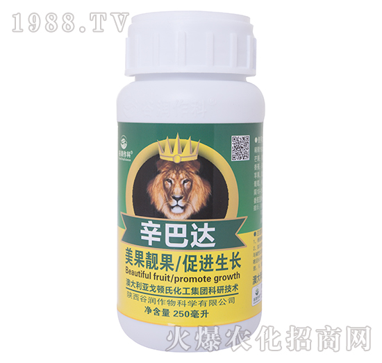 �����_(d��)-�ȝ�����