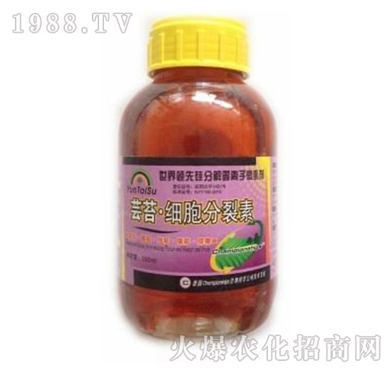 �|̦��(x��)��������-� �����