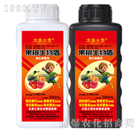 ���������-ľ������