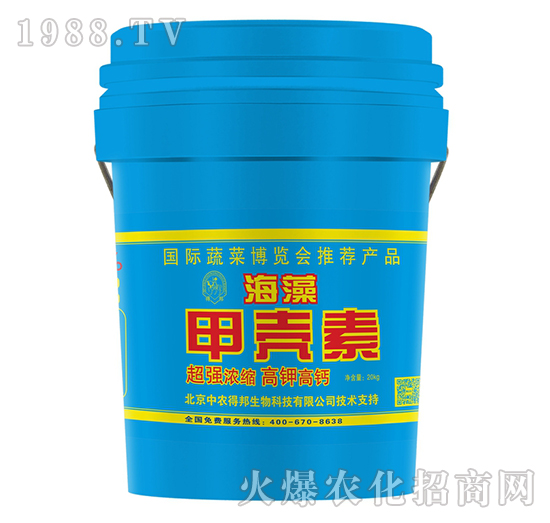 ����ך���-���w�r(n��ng)�I(y��)