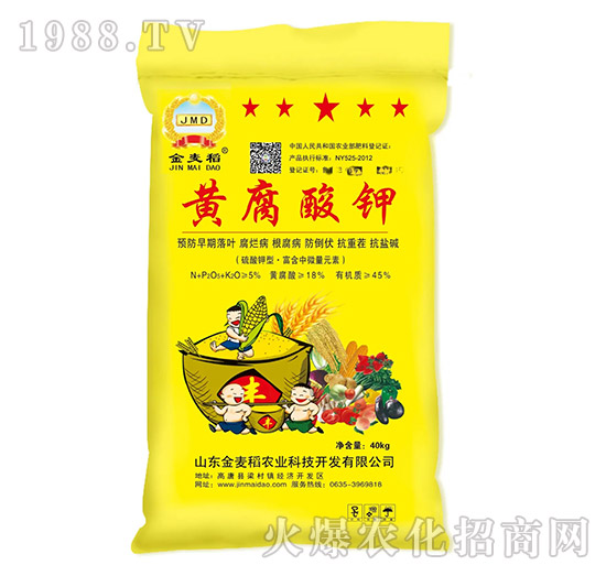 �S�����ЙC(j��)��-������