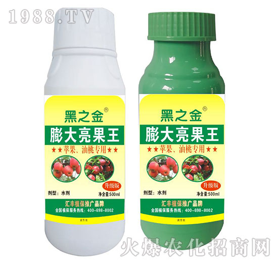 �O�������Ҍ������������-�R�Sֲ��