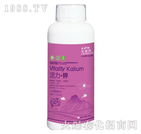 �������-����ʩ-�Θ��ʘI(y��)