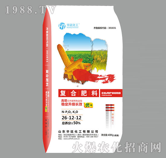 �ͺϷ���-�A͢����