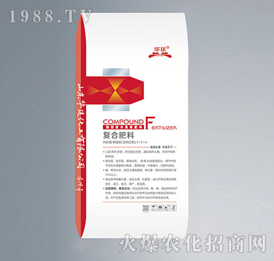 ��������͸�������-�ͺϷ���40����-�A͢����