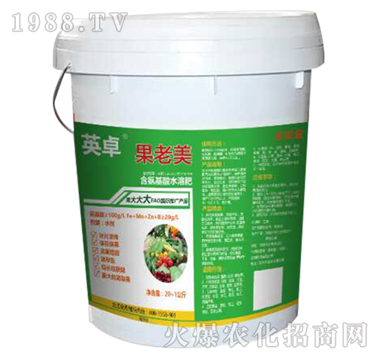 ������-Ӣ׿-������