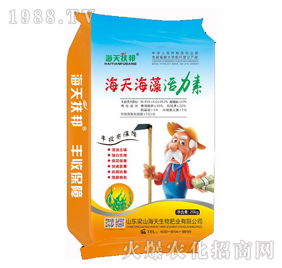 ���캣�������-��������