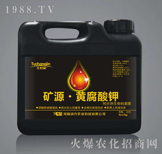 �VԴ���S�����-���L��