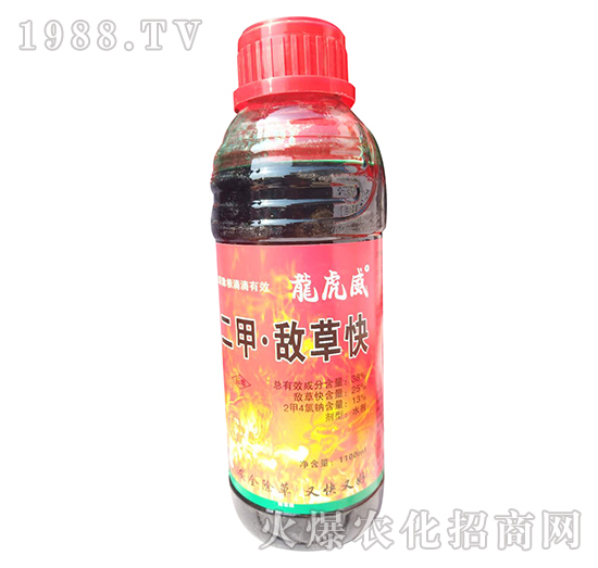 38%���ס����ݿ�-������-�W�ρ�