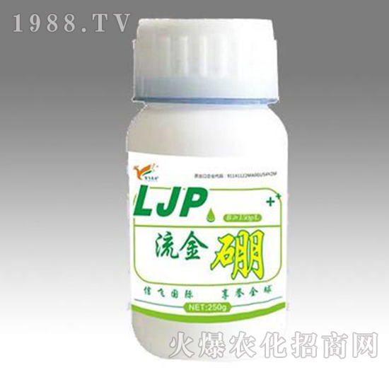 ������-���w�r�I(y��)