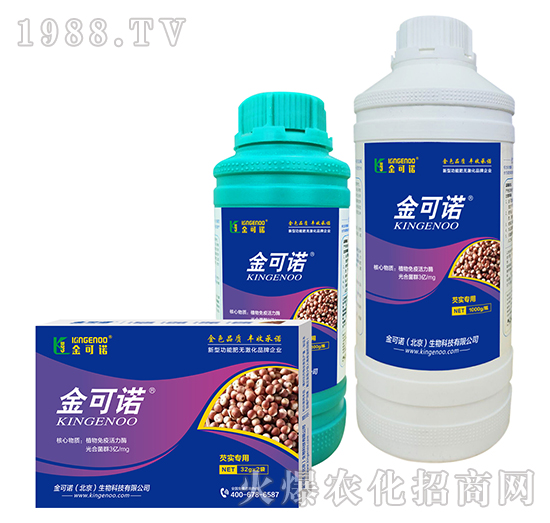 �͌�����-����Z