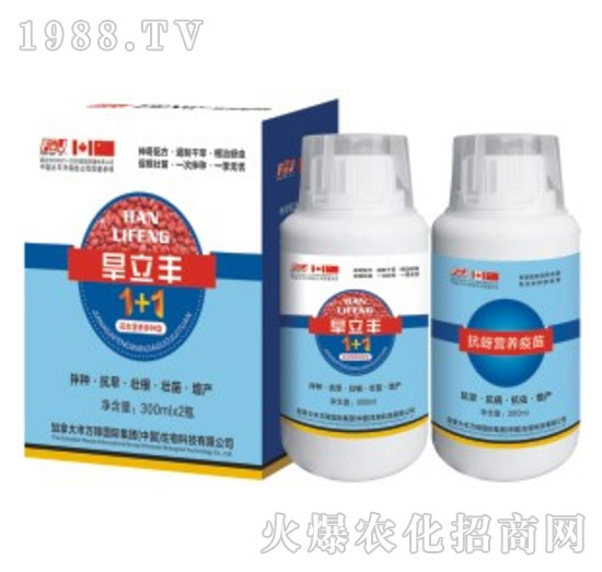 �����S������N��-�S�f��