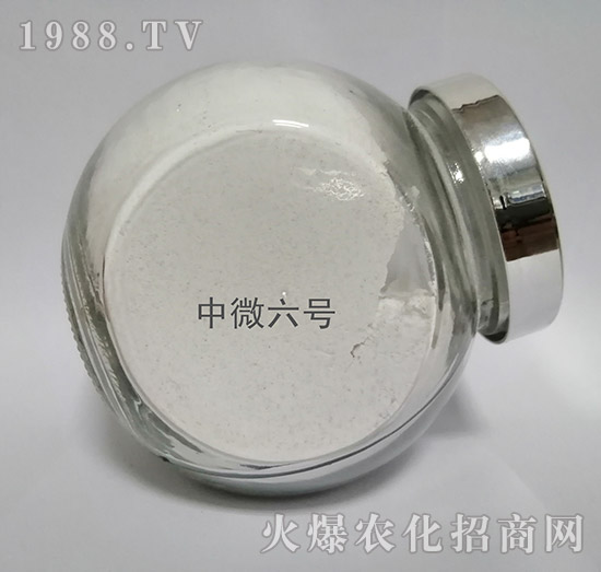 ��΢6̖(h��o)