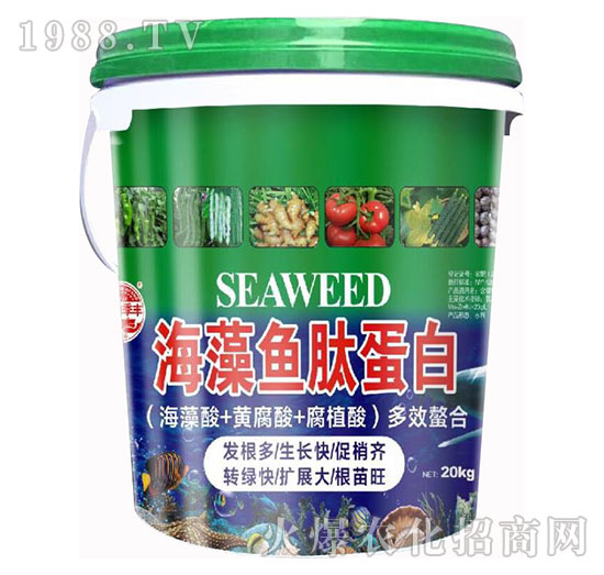 �����~�ĵ���-��@���S-���S�ʘI(y��)