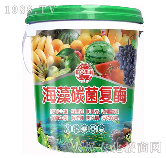 ����̼����(f��)ø-��@���S-���S�ʘI(y��)