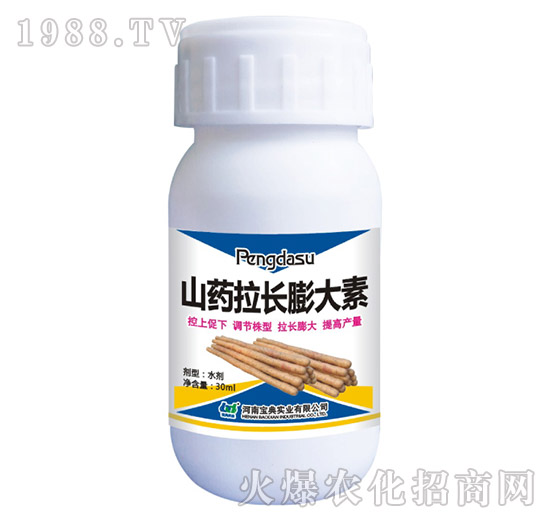 ɽˎ���L(zh��ng)�����-���䌍(sh��)�I(y��)