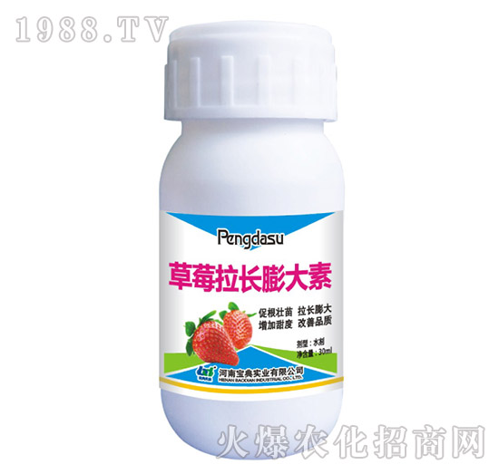 ��ݮ���L�����-���䌍(sh��)�I(y��)