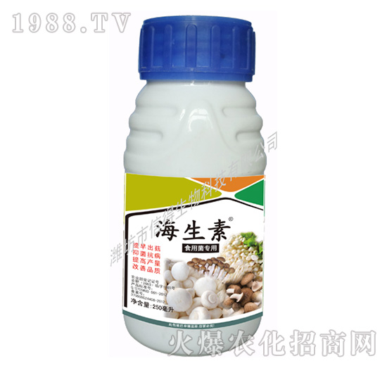 ʳ�þ���(zhu��n)��-������-�ŵ�