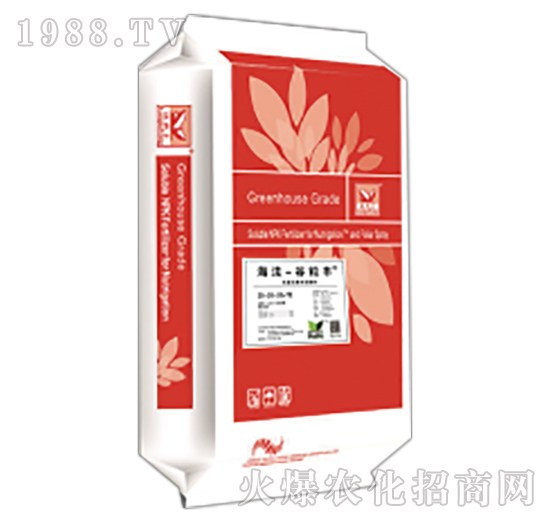 海法谷粒豐-海法