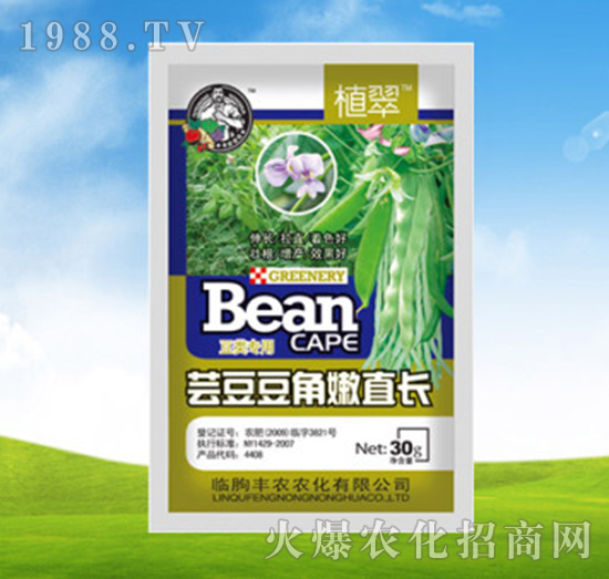 蕓豆豆角嫩直長-植翠-豐農(nóng)農(nóng)化