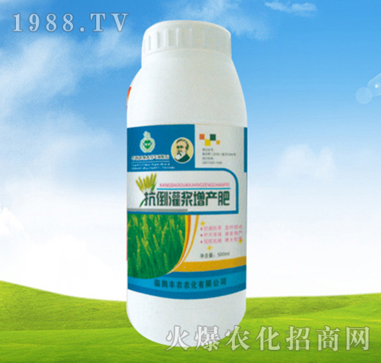 抗倒灌漿增產(chǎn)肥-豐農(nóng)農(nóng)化