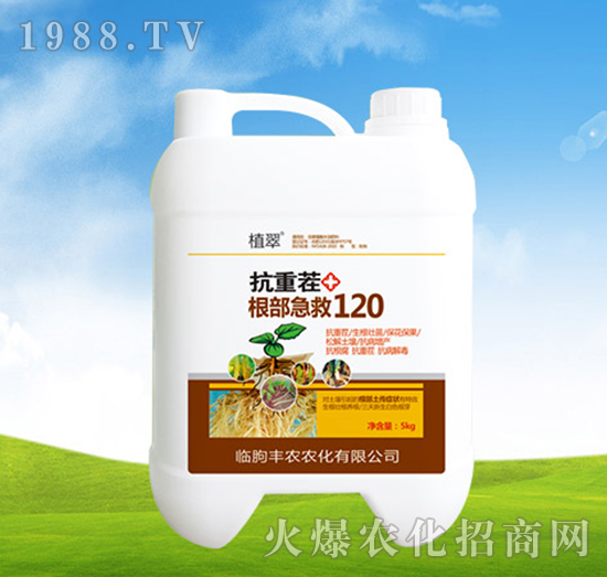 抗重茬根部急救120-植翠-豐農(nóng)農(nóng)化