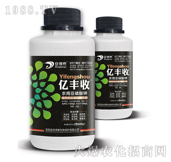 �r�Á������-�|�S��-����̩