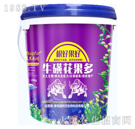 ���ǻ�����-�@��Ԫ