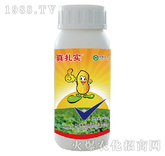 48%���x�����p��-������-���r(li��n)��