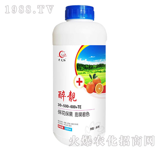 ���n30-500-600+TE-����t