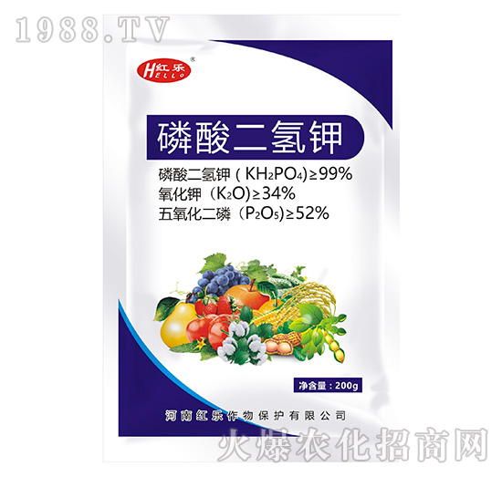 ��������-�t��