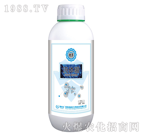 ���w��-��(r��n)�S-̩����