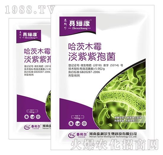 哈茨·淡紫紫孢菌-真細康-泰利爾