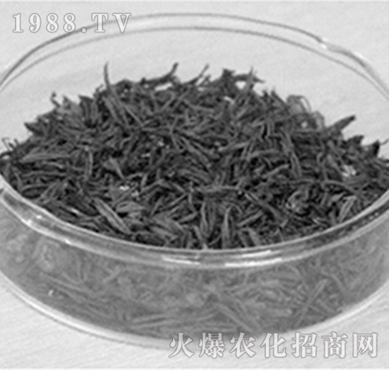 ����̿-���f���r�I(y��)