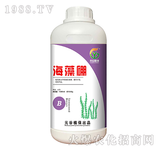 海藻硼-元谷植保