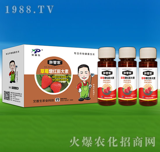 草莓增紅膨大素-胖管家-艾普生