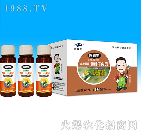 韭蔥姜蒜黃葉干尖靈-胖管家-艾普生