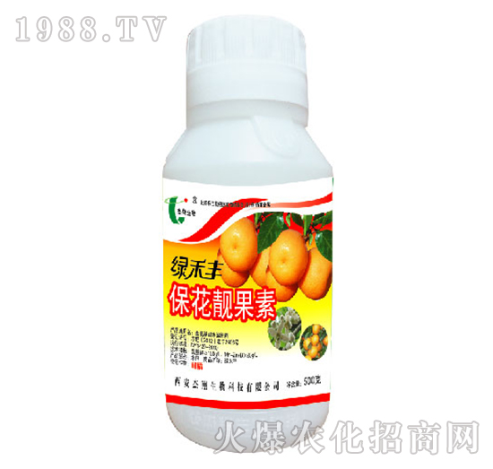 �����n����-�G���S-��������