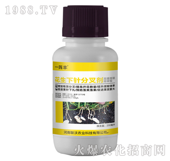 花生下針分叉劑-一陣豐-聯(lián)沃農(nóng)業(yè)