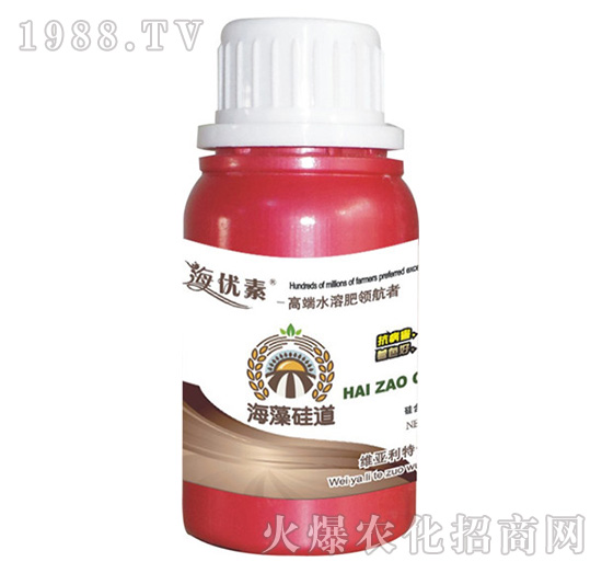 ������-�S������