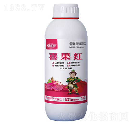 1000�˻���������ϲ���t-��ڌ�-�{���r��