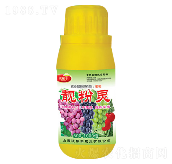 �n���`-�ּ��S�ʘI(y��)