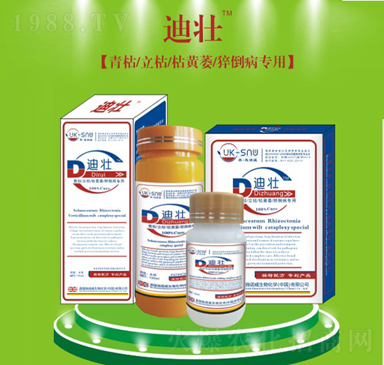 �ωѣ�������ݿ��Sή⧵������ã�-ʩ�Z��