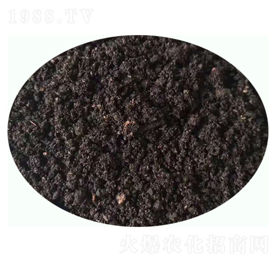 �l(f��)���u�S�ЙC(j��)��-���|�ʘI(y��)