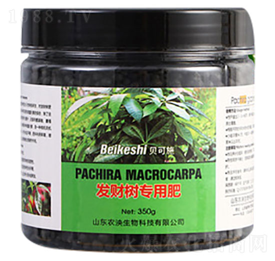 發(fā)財(cái)樹(shù)專(zhuān)用肥料-貝可施-農(nóng)泱生物