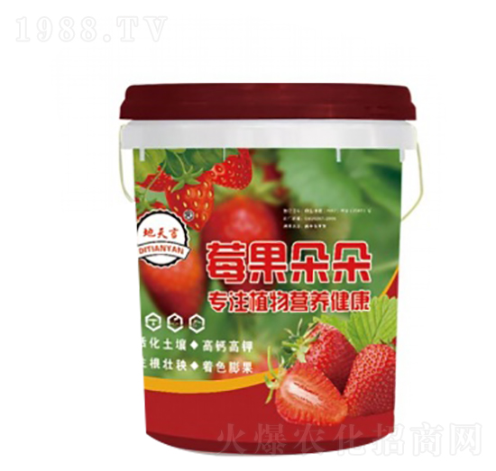 ݮ�����-�����S