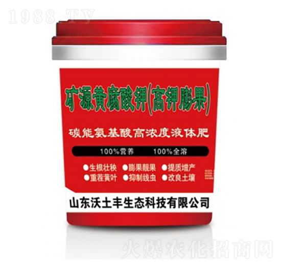 �VԴ�S����⛣���������-�����S