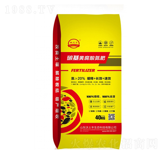 ̼���S���ᵪ��-�����S