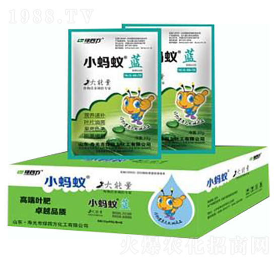 小螞蟻藍(lán)-綠四方